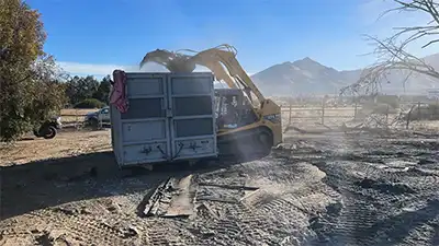 skid loader clearing up land